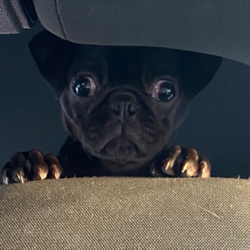 Meet your Posher, Jayce